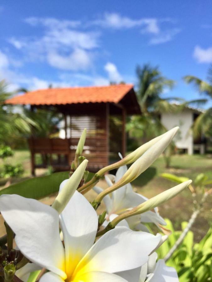 Pousada Vettore อาชินส์ ภายนอก รูปภาพ
